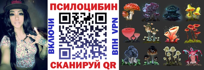 Псилоцибиновые грибы GOLDEN TEACHER  даркнет сайт  Любань 